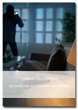 ebook-einbruchschutz