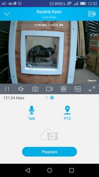 Screenshot-Reolink-Keen-Ueberwachung-Katzenhaus